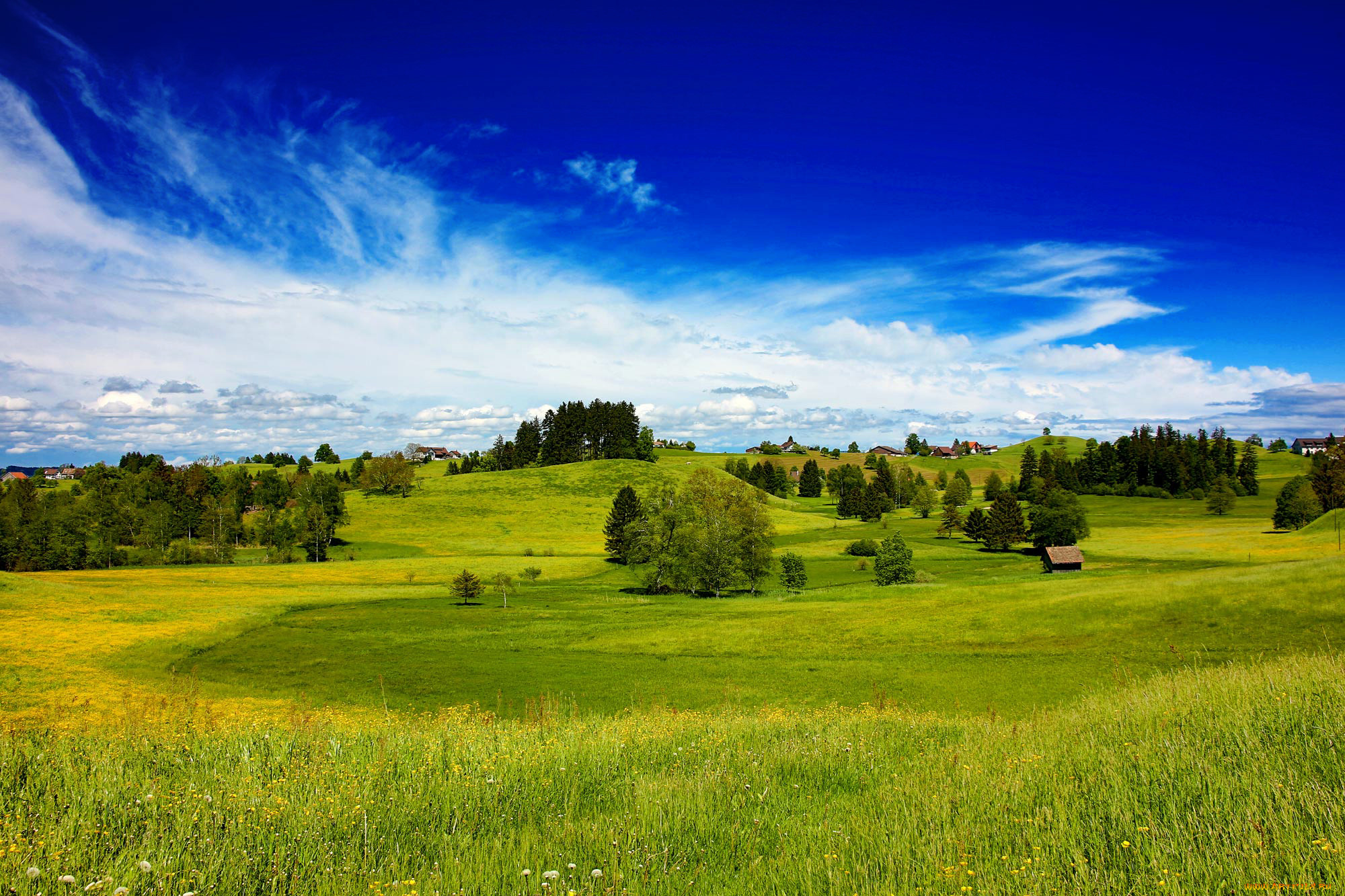 Холмы перелески луга и поля. Поле равнина Белоруссия. Природа поля холм-Жирковский. Летний пейзаж. Поле луг.